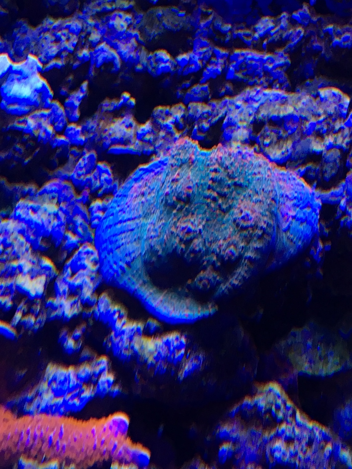 4a806d2320f32cab05e7b42389418dc8.jpg