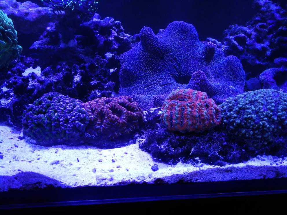 88f221aecf42ce5addba86ed7370e0c2.jpg