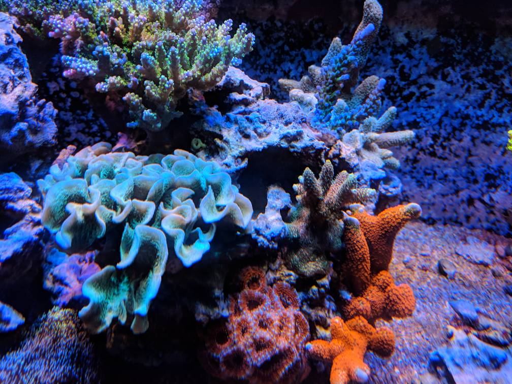 f676ce5749471df30392a8e6ba59cd4a.jpg