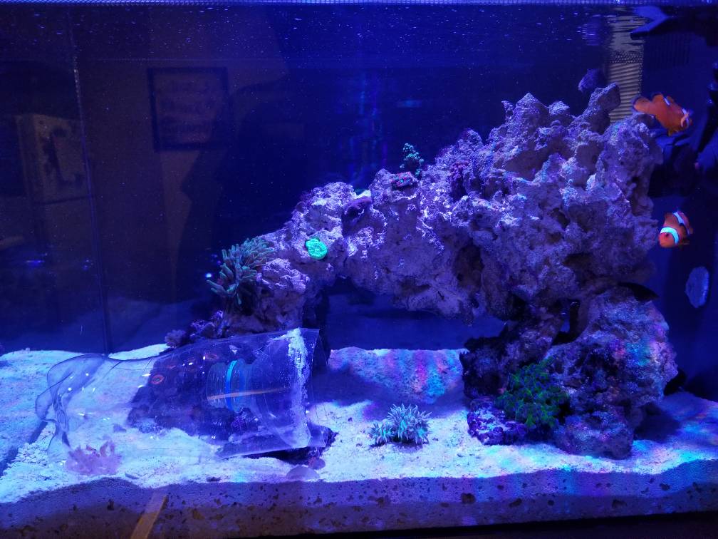 846bcbd0a709e68c08472ada031bd154.jpg