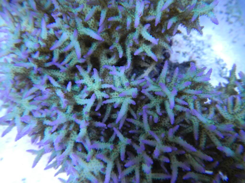 FU647G7.jpg