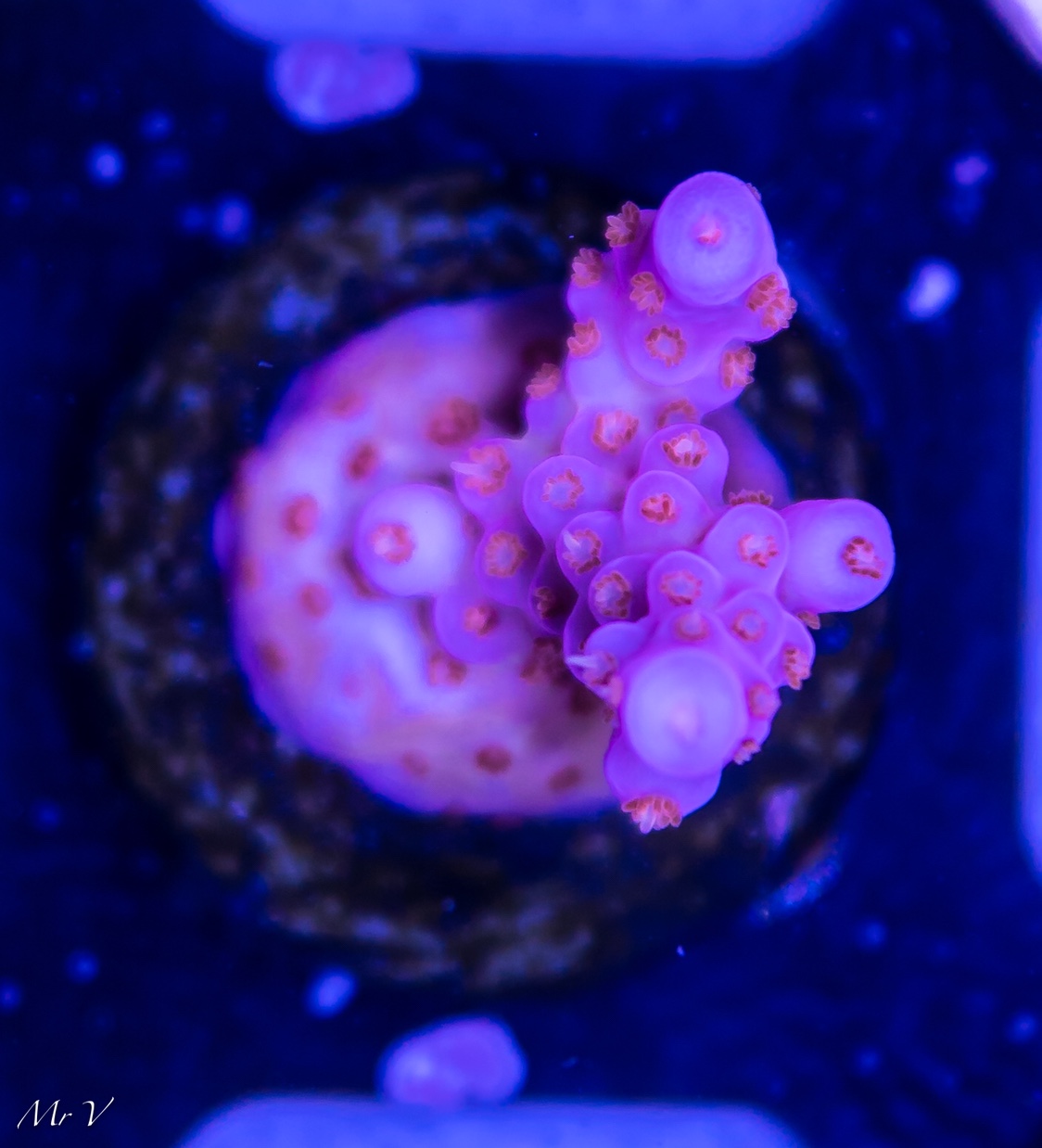 9aa3299a79667fa94aa9f41d433d7c8d.jpg