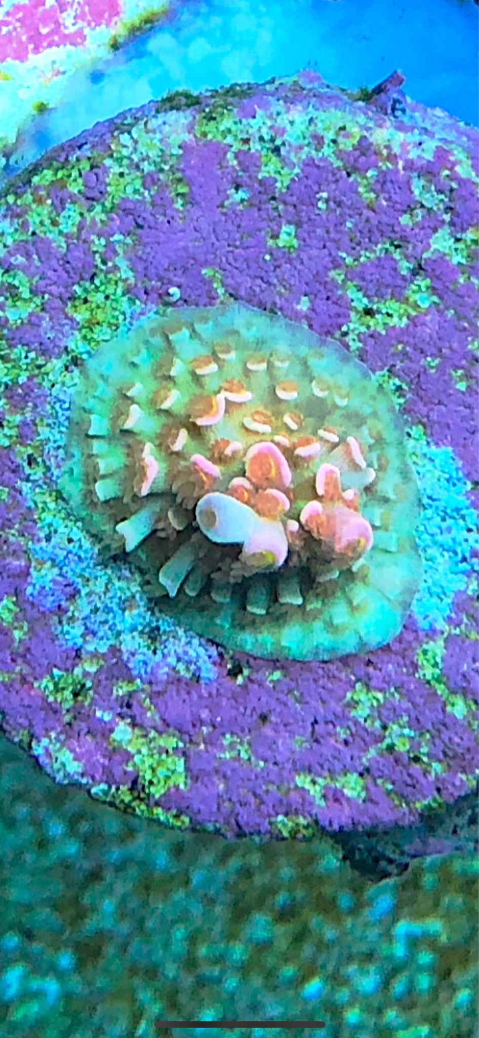 9ebf813329642a7263188b3c6c5dcbd5.png