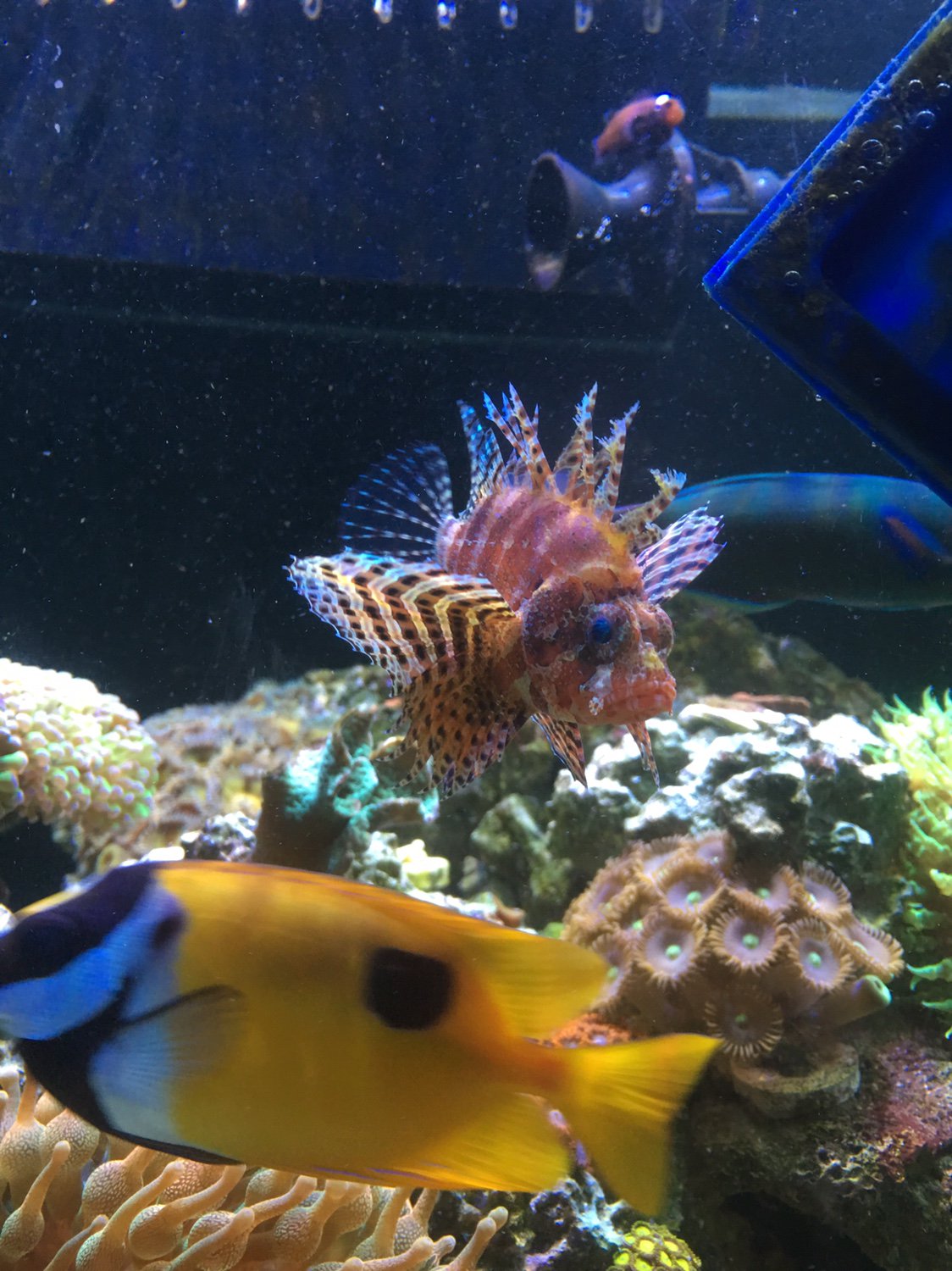 e687de3d1c00a2e8725a885ccc402b4e.jpg