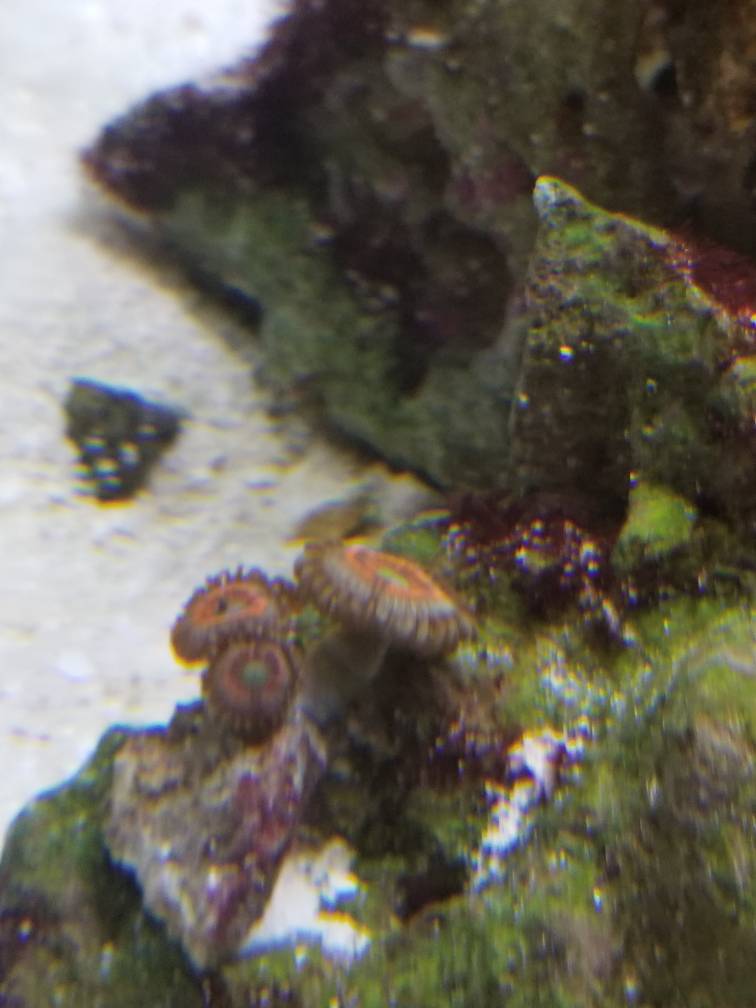 abc1394c40f32eb97bb6cf3101c3e526.jpg