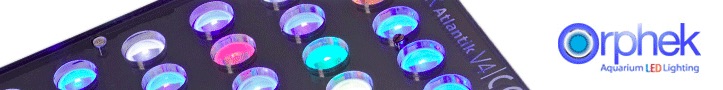 Orphek-Atlantik-V4-LED-aquarium-lighting.jpg