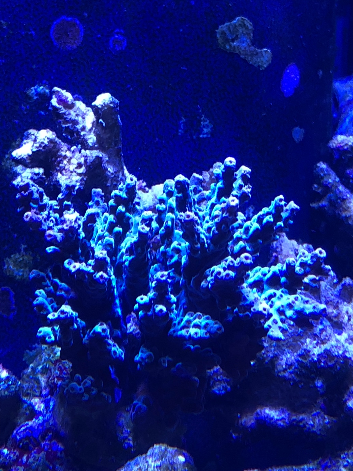 bcdf77872ea75d32400f50e7917440ae.jpg
