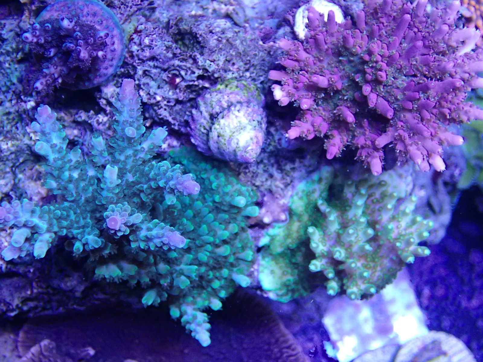 dCYarP8.jpg