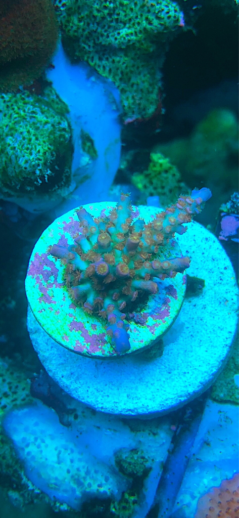 afd45b19c745f06aa223c91b0f2e1587.jpg