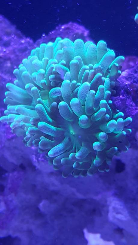 63ac5401b223e8b16ec8287b8a0701c8.jpg