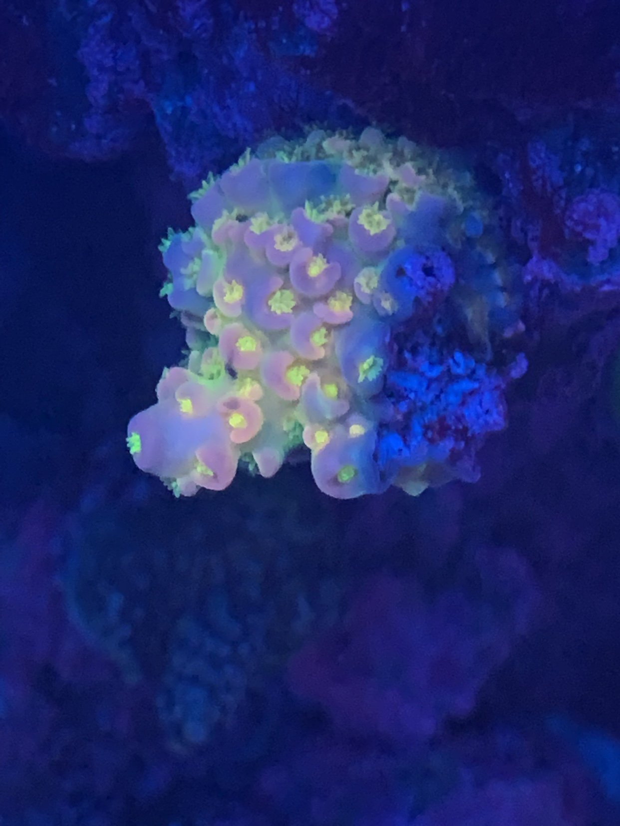 4b5e6342956bbd6bce799bb7b0b4f282.jpg