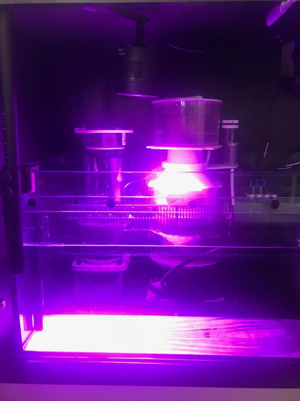 DT_09.jpg