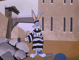 Looney Tunes Cartoon GIF