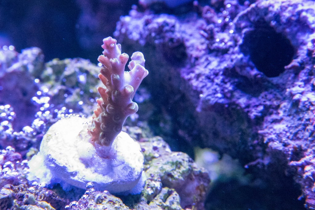 DSC_1606.jpg