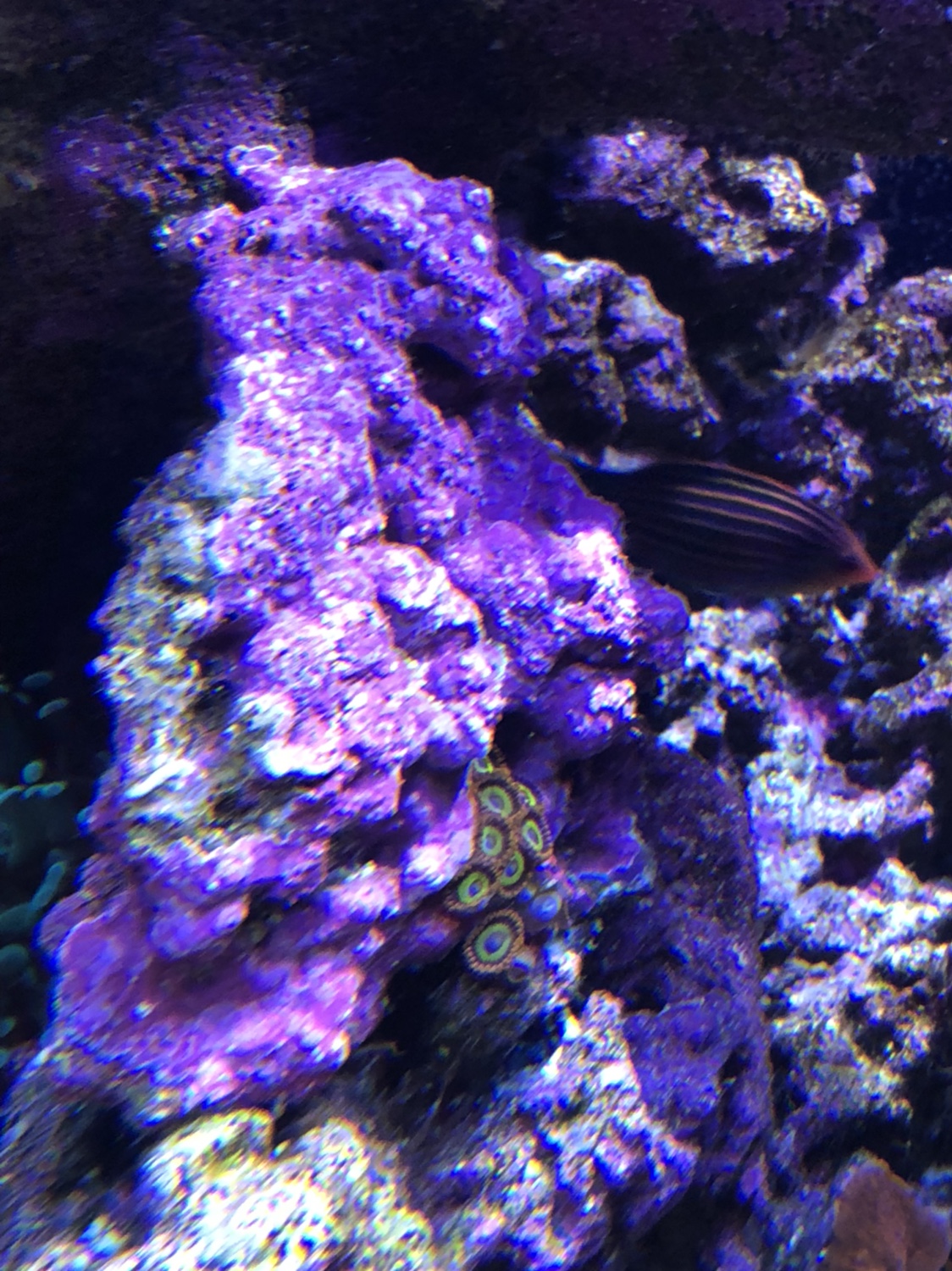 d652b7d2dda2bee56891c2551f9949b6.jpg