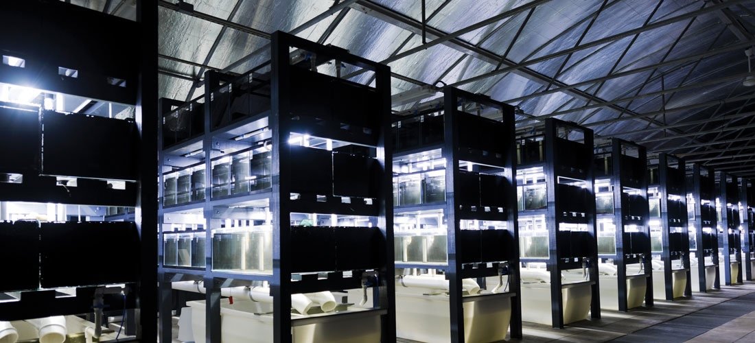 ora-facilities.jpg