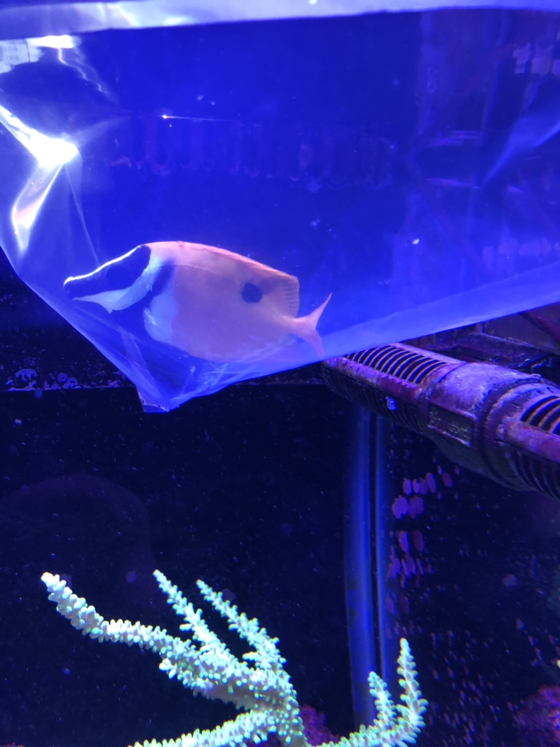 79ee95d9b446538d2abe72398cbd4ac8.jpg