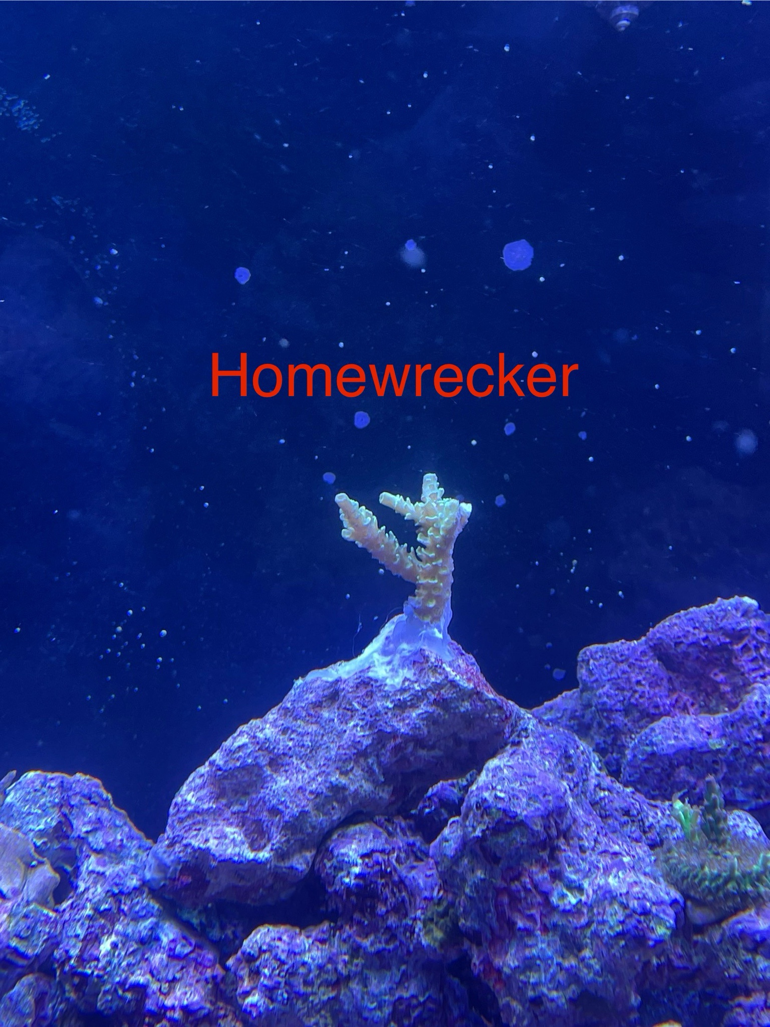 Bci1k5R.jpeg