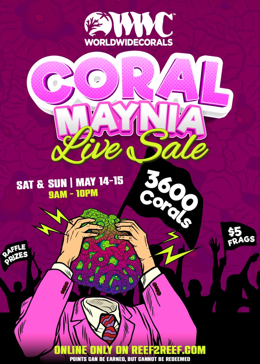 coral-maynia-2022-flyer-01.jpg