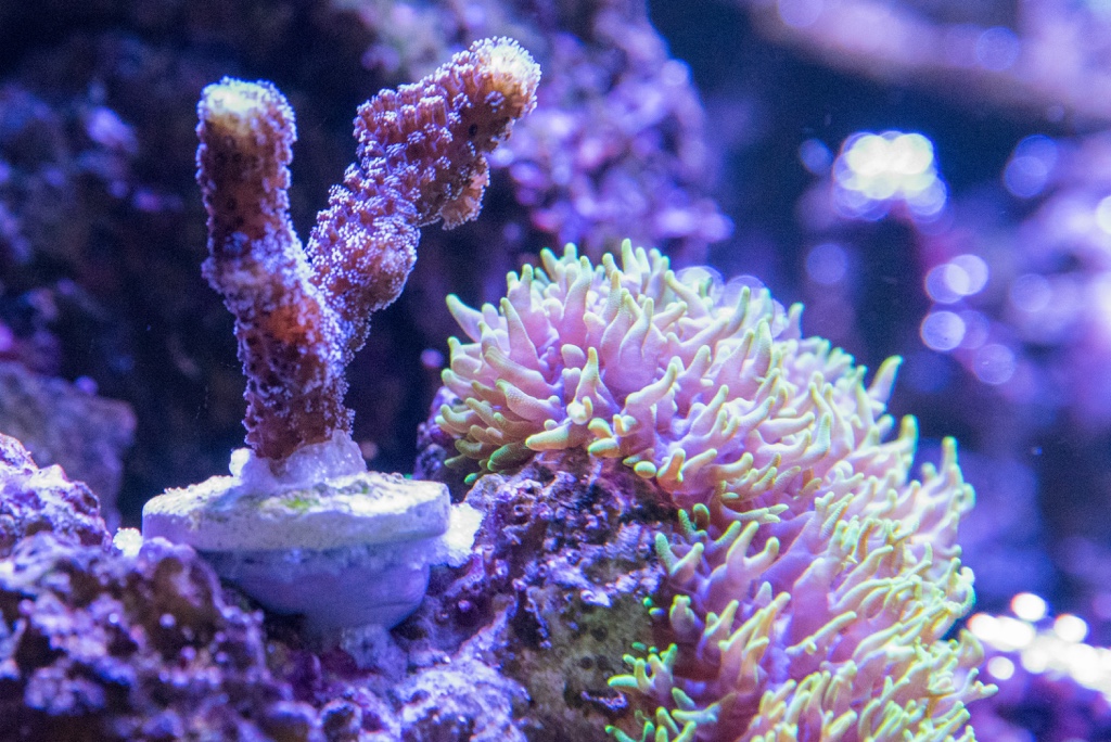 DSC_1626.jpg