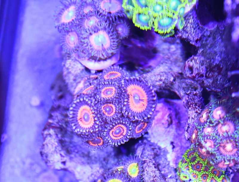 47836610331_2d08207577_c.jpg