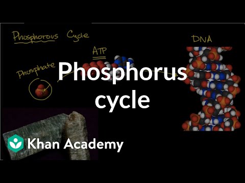 www.khanacademy.org
