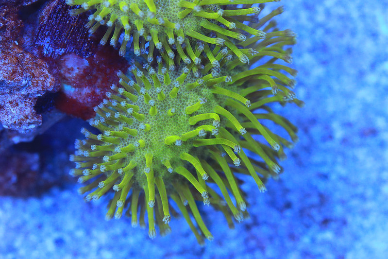 53629783852_f37c441120_c.jpg