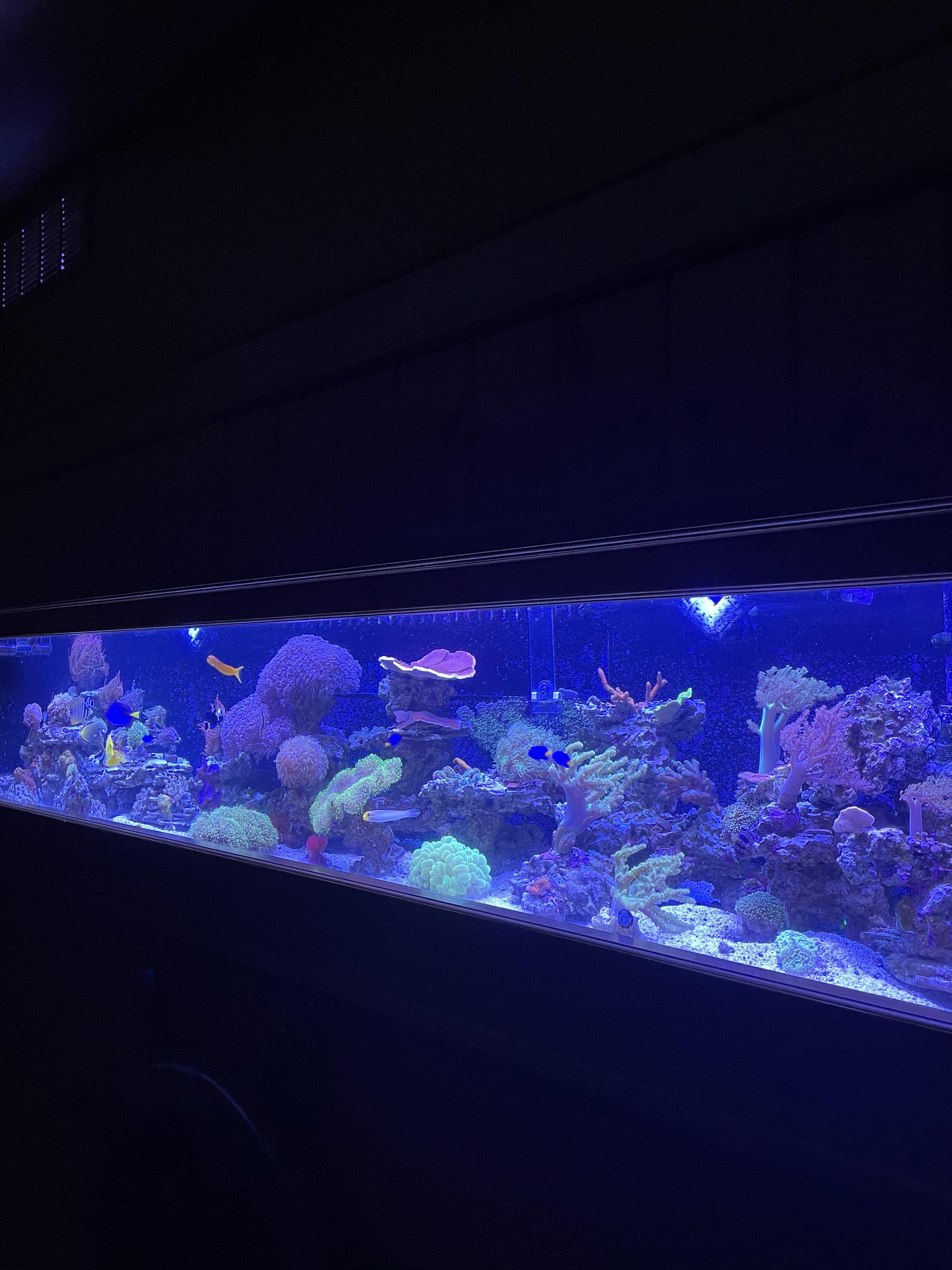 SnUxpDm.jpg