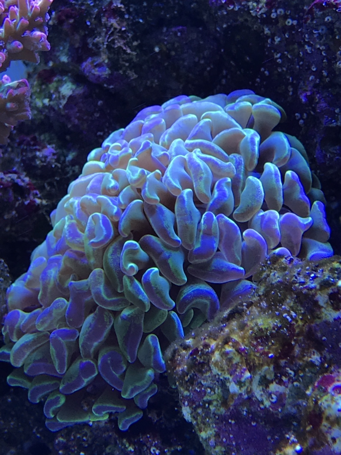747e1ea181c6b2a9d8f2f1622f67f40e.jpg