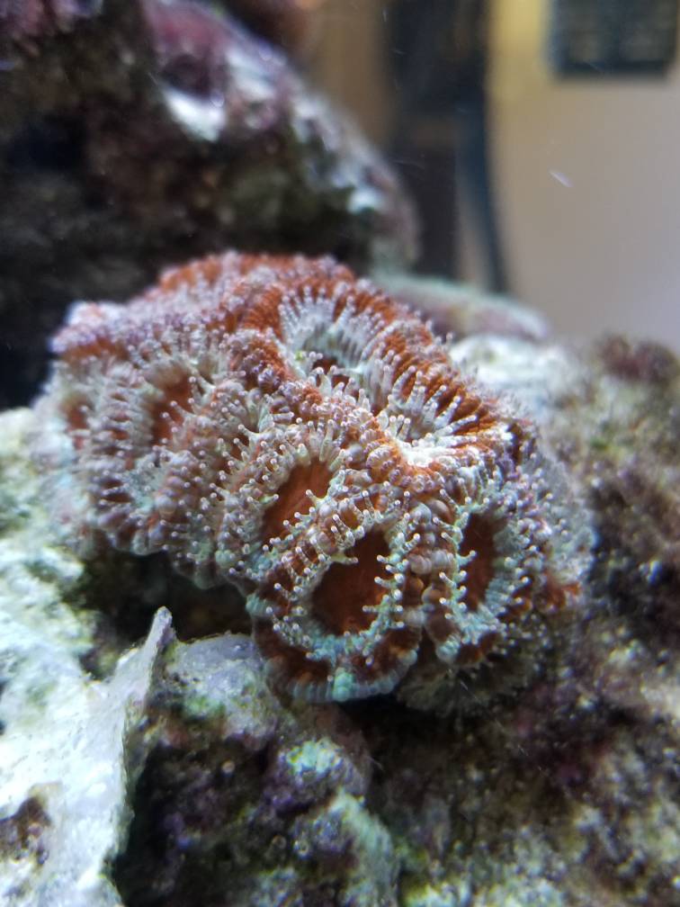 ff68e308ad2c30a0176c41ec5824524d.jpg