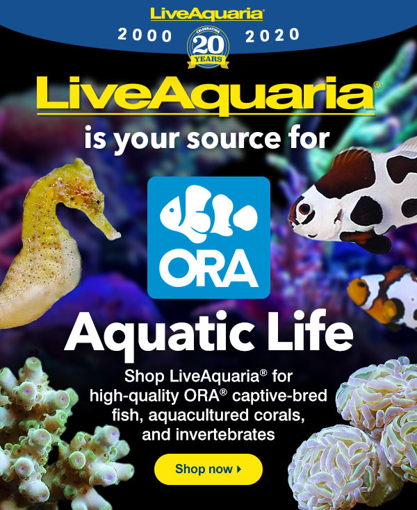 ORA Fish, Corals, and Inverts