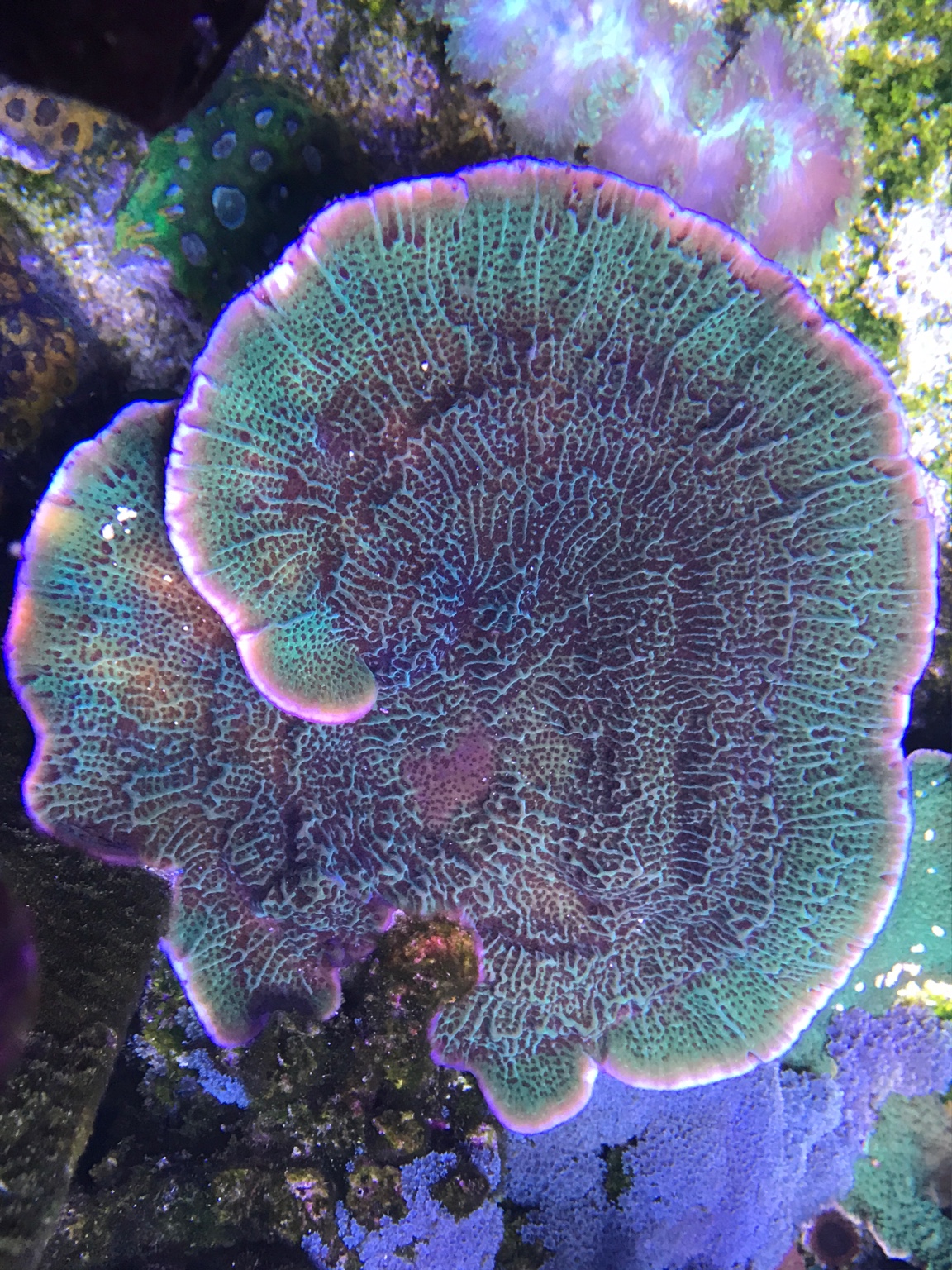4d8b4db5ccda633eaface2f90c4fb265.jpg
