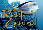 forums.reefcentral.com
