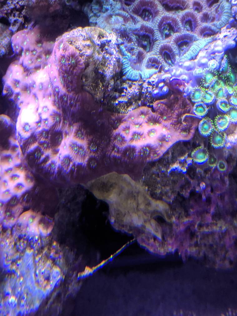 3fcb9ec00fbb7d0c17d4d380aa286b00.jpg
