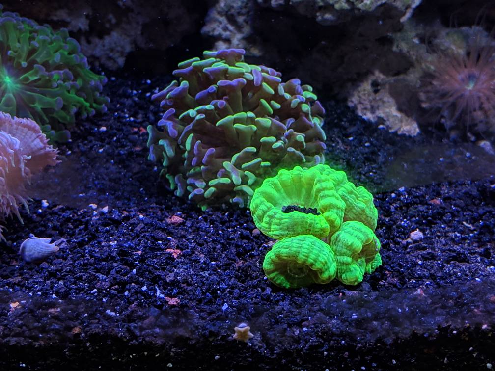 35907ffc407ec7665546f8d7256f52ec.jpg