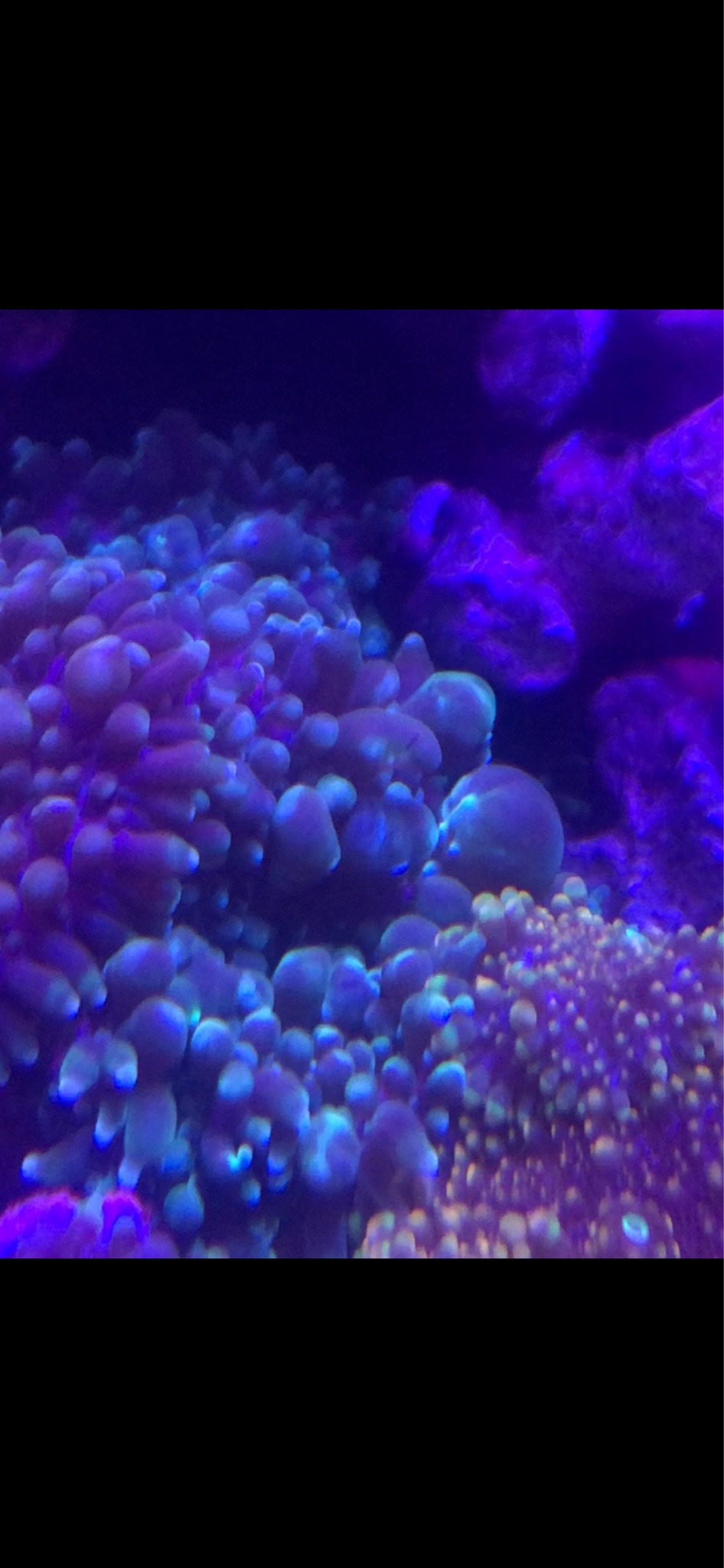 5efd0d4ae6e468ea1e57dc90dda4ac90.jpg