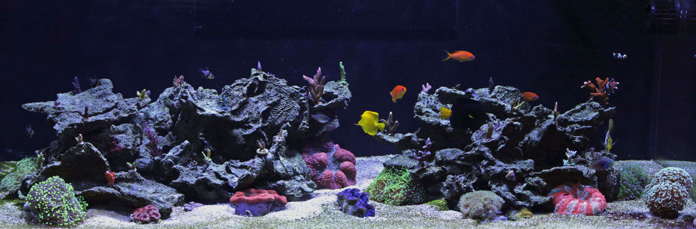 Sep-24-2017-Full-Tank-pic2_edited-2.jpg