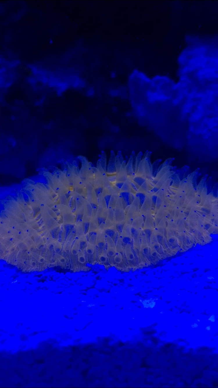 f29560cc68d51388afd0d86c1c7da55a.png