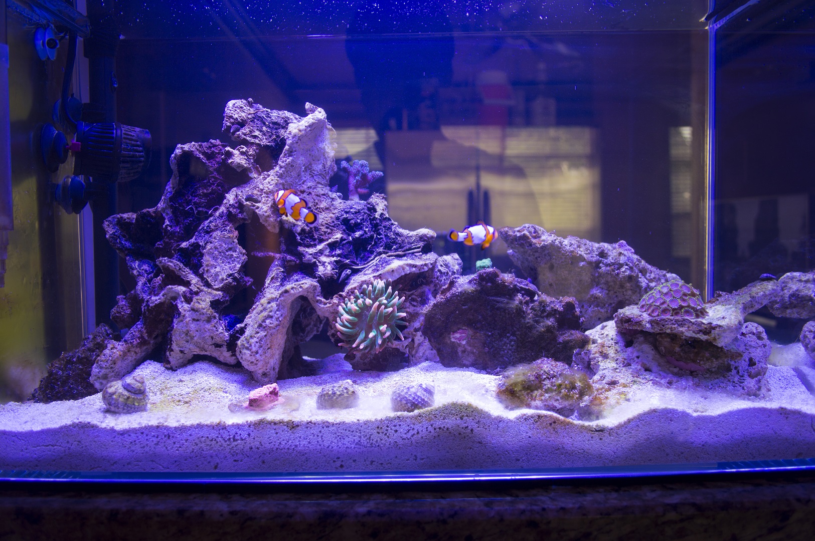 FTS.JPG