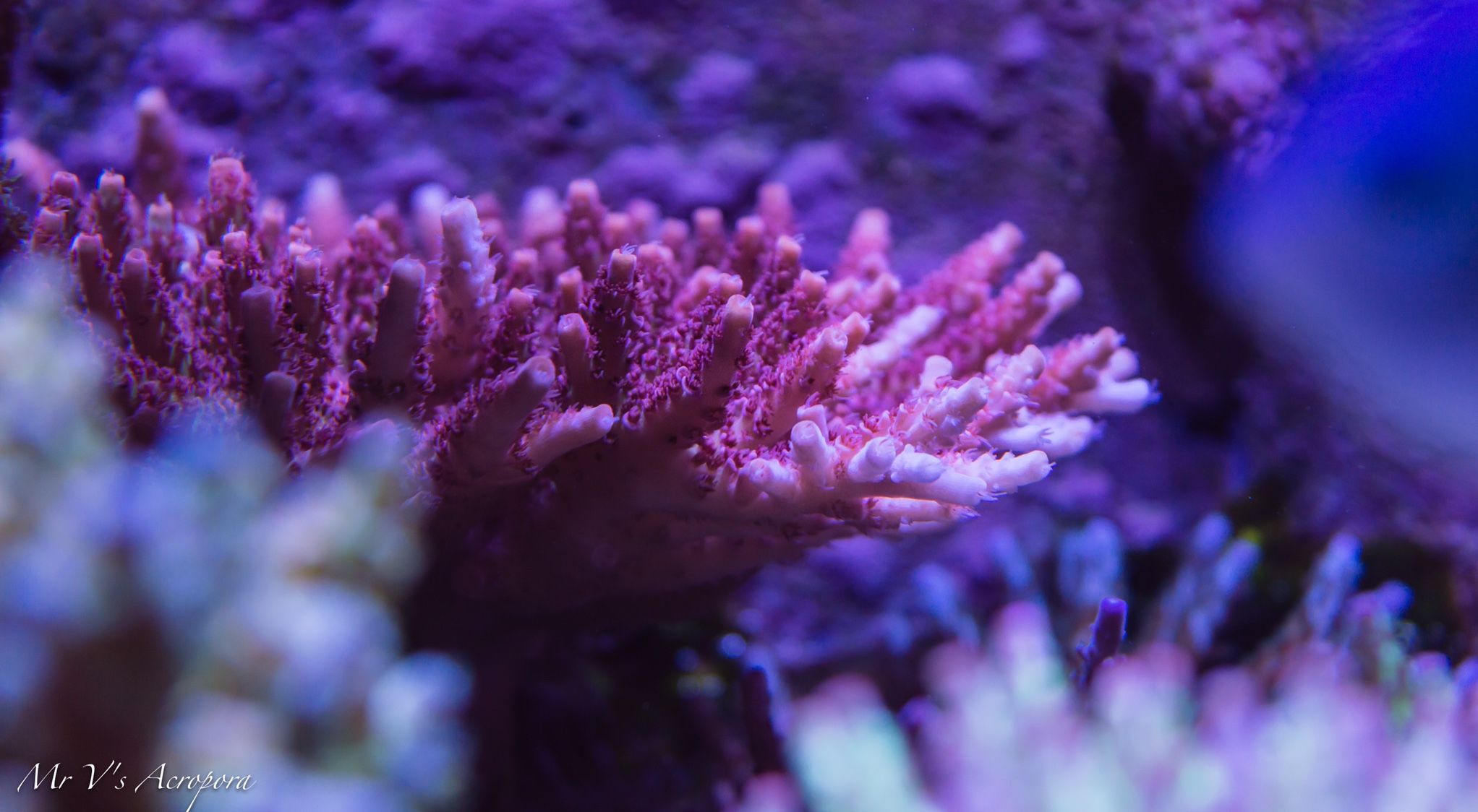 1ee53cb04f4f5bf658aa4827b5ca717a.jpg
