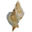 www.seqshells.com