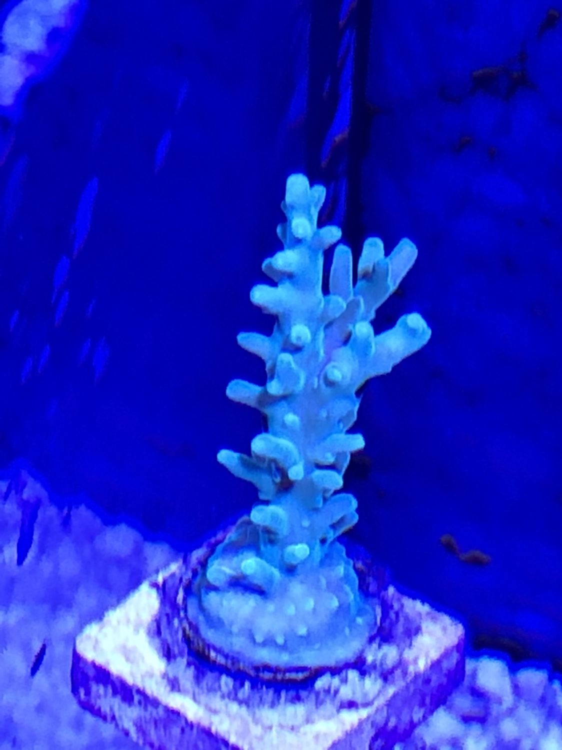 4e60f6e1856e0d9307438c8e8a55f338.jpg