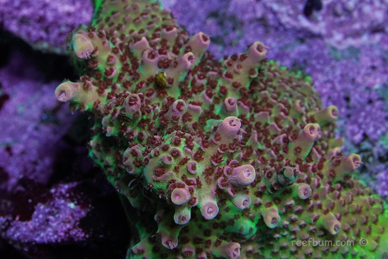 SPS-pic37-Nov-11-2018.jpg