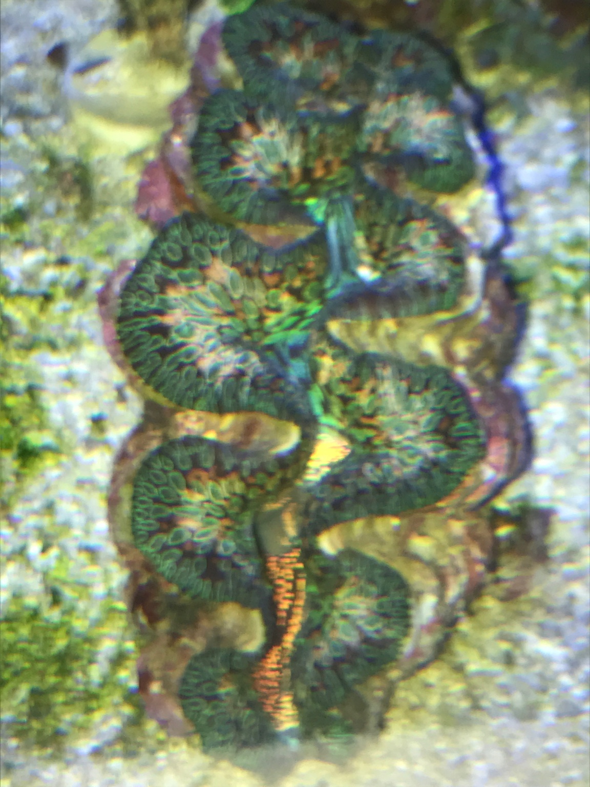 b6b35a74ecef4125e525b37e3042e7ae.jpg