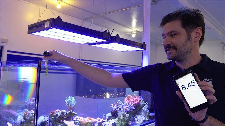 reefbuilders.com
