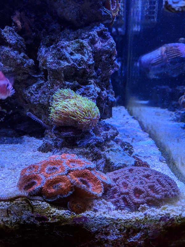 47663937692_12f6abd477_c.jpg