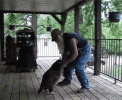 redneck GIF