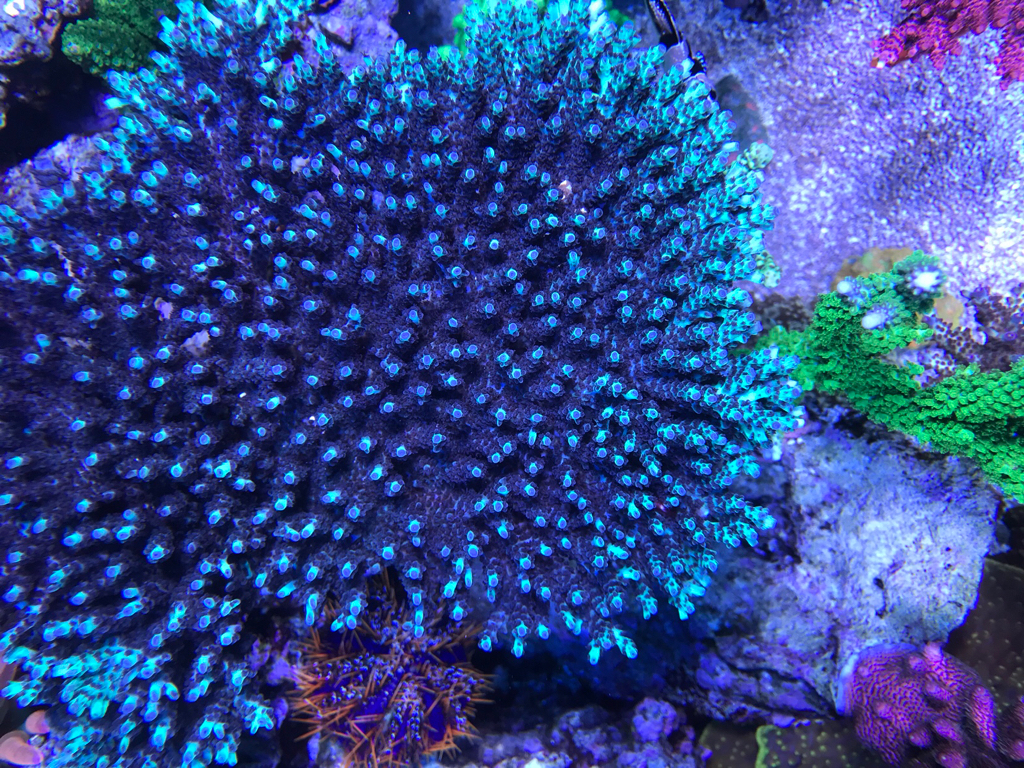7cbfbef66f220e21e79ae2f19d26fc53.jpg