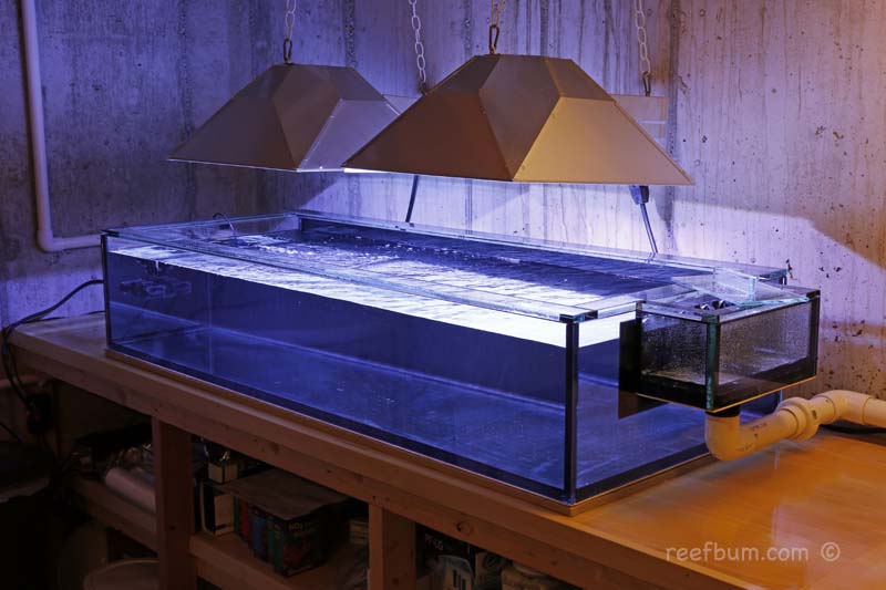 Frag-Tank-pic8.jpg