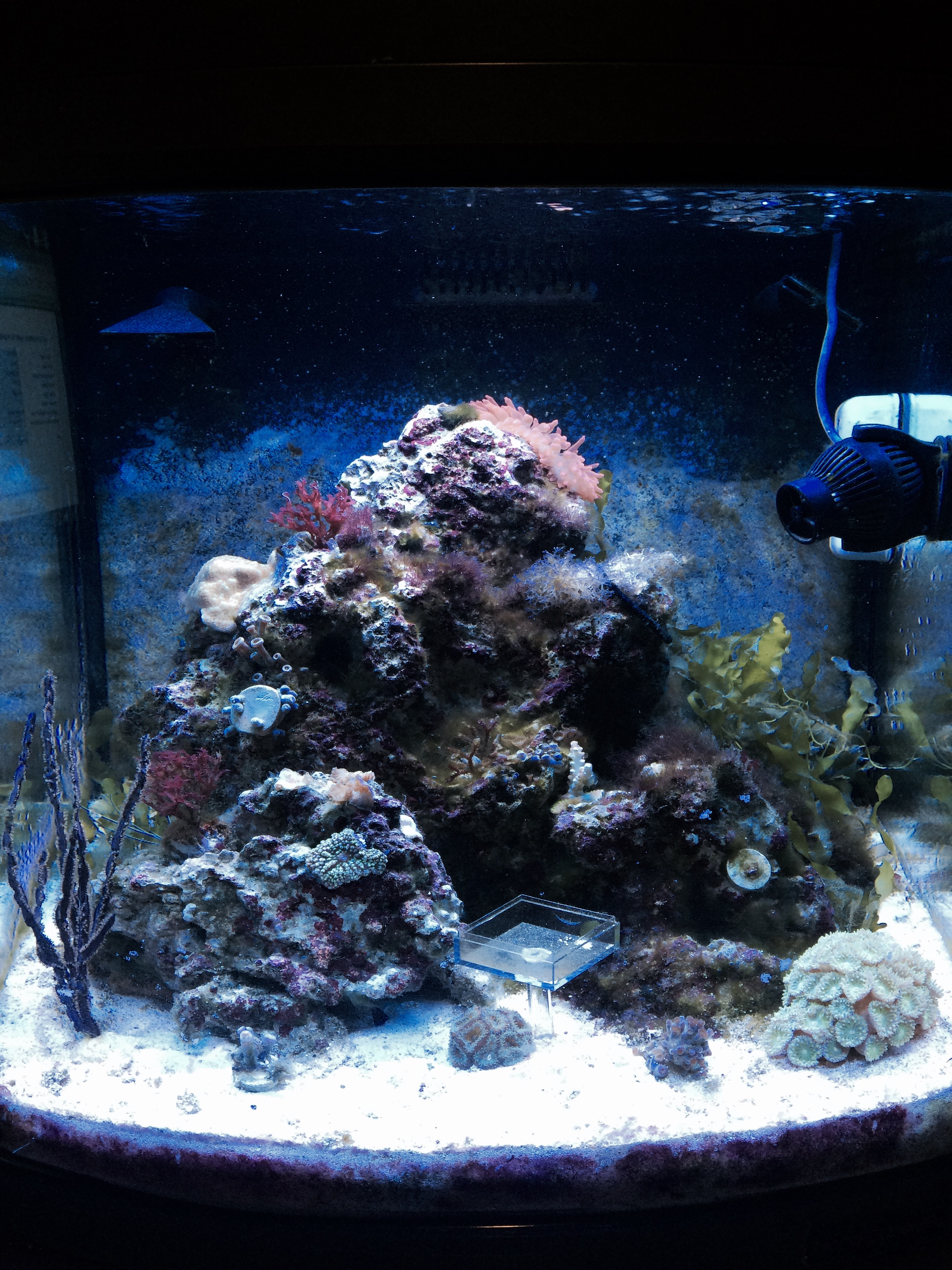 LUt4cm5.jpg